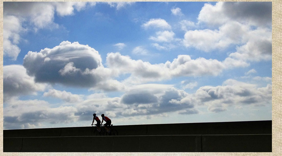 Sidney Lanier Bridge photos by Sandy Jones