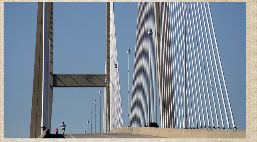 Sidney Lanier Bridge photos by Sandy Jones