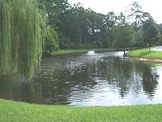 ST. SIMONS ISLAND SEA PALMS REAL ESTATE