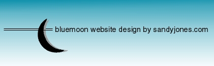 BLUEMOON eMEDIA WEBSITE DESIGN